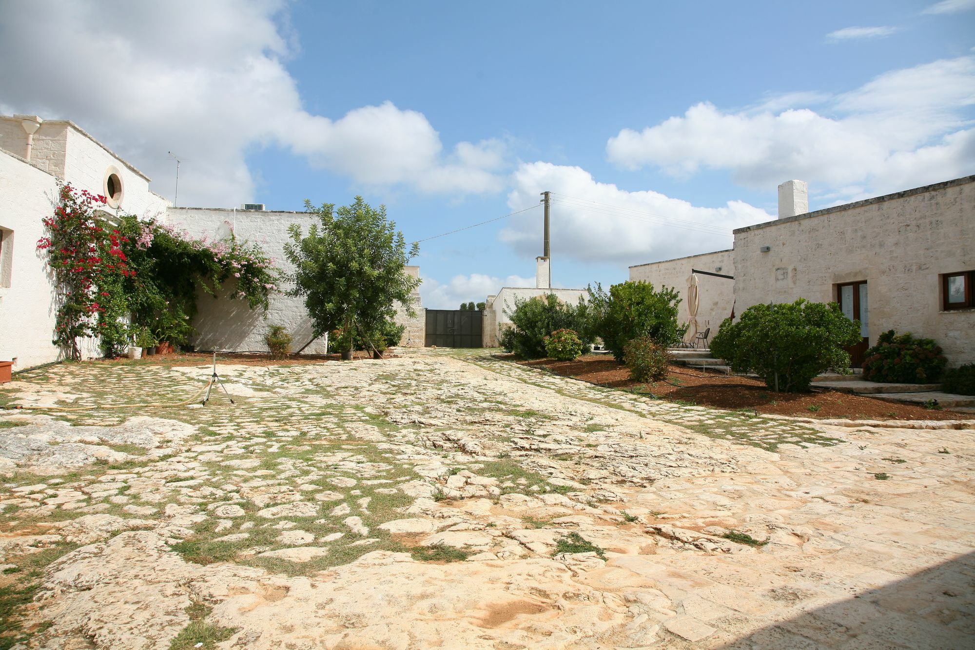 Masseria Montecchie 세글리에 메사피카 외부 사진